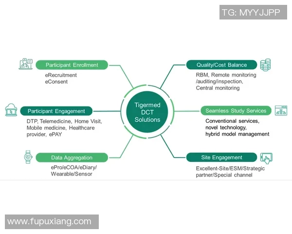 上海滑板队区域防守创新策略探讨与实践分析